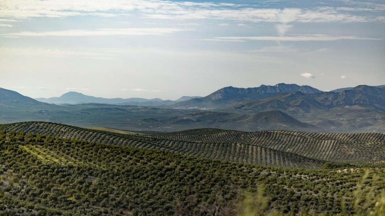 Hostal Rural Pico Aznaitin - Sierra Magina Albanchez de Úbeda Dış mekan fotoğraf